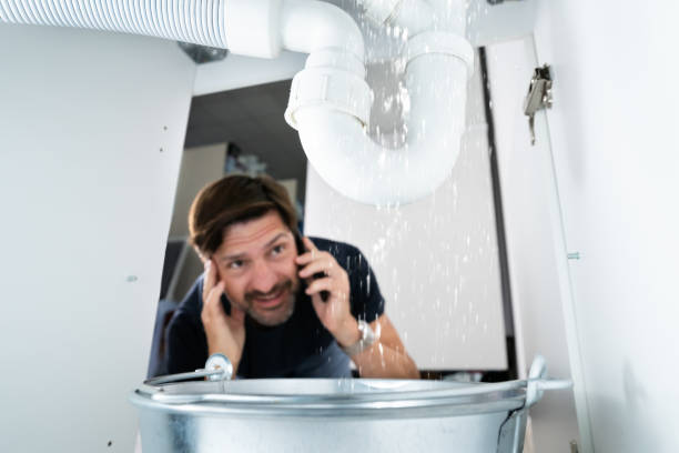 Best Septic Systems  in Walnutport, PA