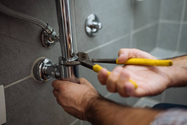 Best Clogged Drain Plumber  in Walnutport, PA